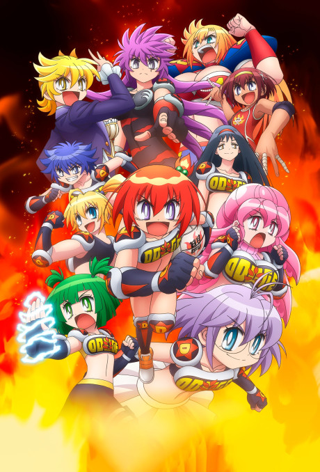 Flaming Dodgeball Girl Danko poster